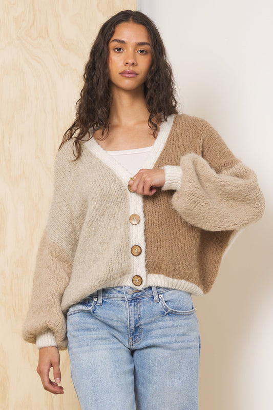 Color Block Cardigan | Vintage Havana