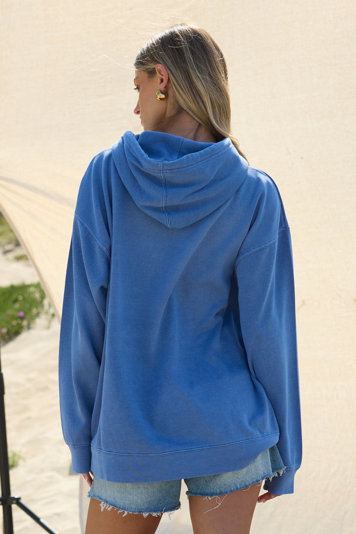 "Wellness" Garment Dye Hoodie | Vintage Havana