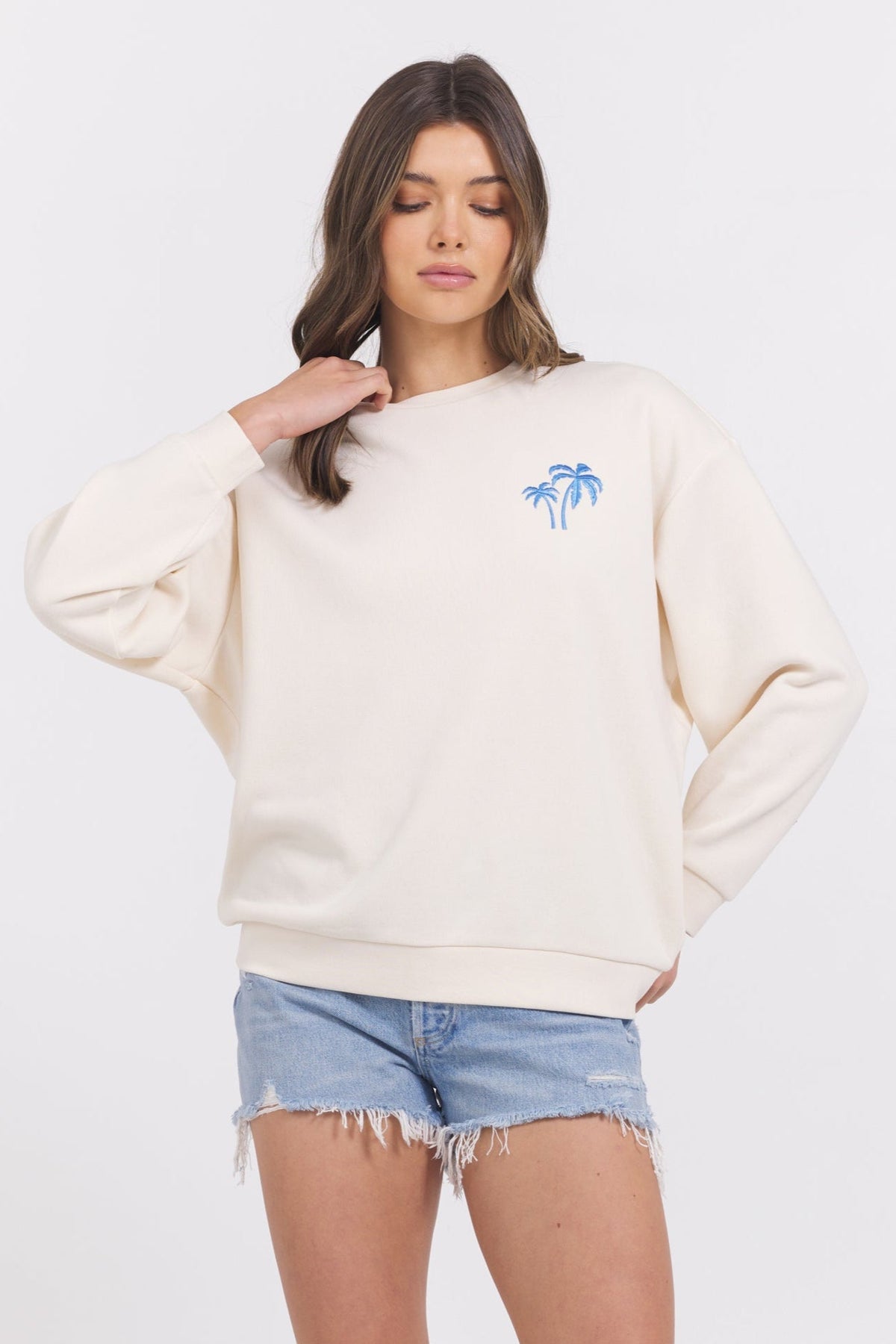 SURF WASH EMBROIDERED CREWNECK | Vintage Havana