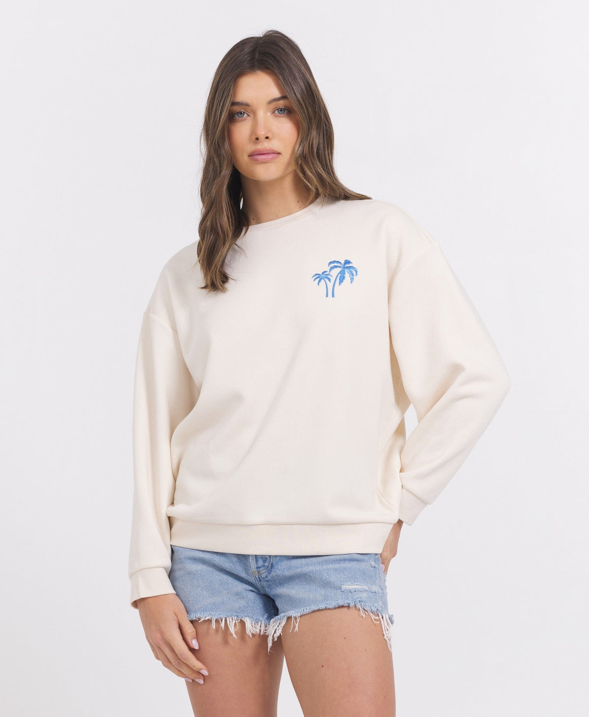 SURF WASH EMBROIDERED CREWNECK | Vintage Havana